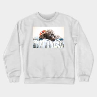 I am sleepy Crewneck Sweatshirt